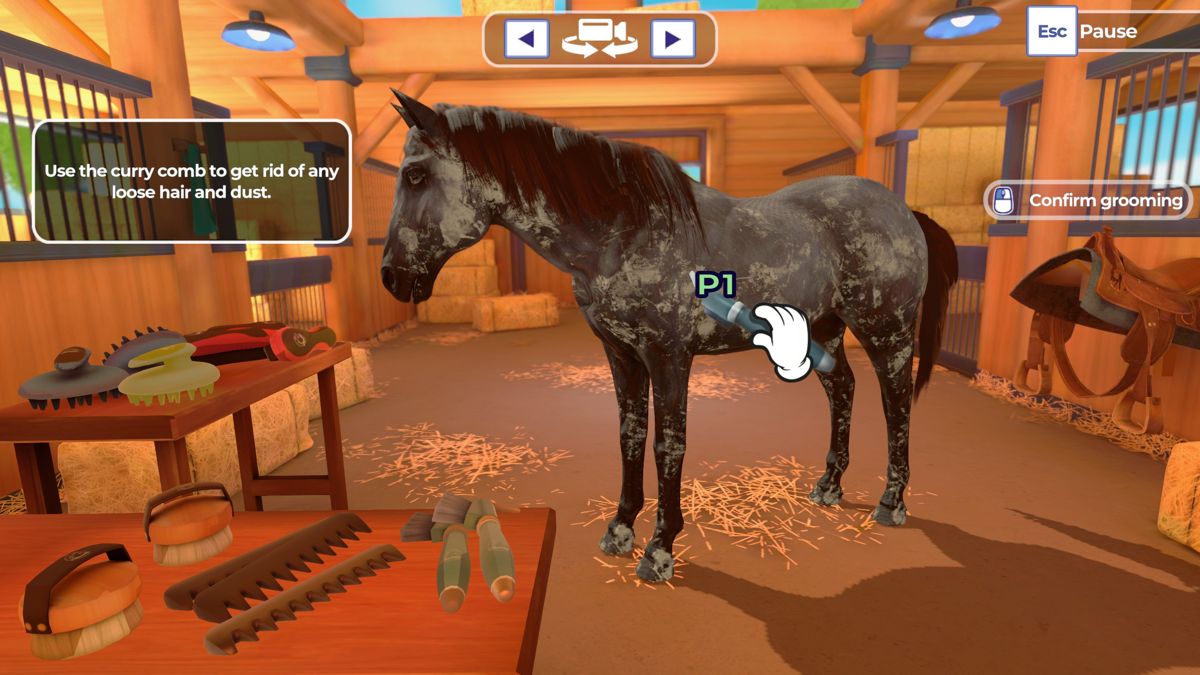 Equestrian Training screenshot 3 for Playstation 4